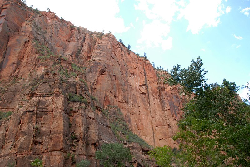2011-07-13_Zion Canyon-Tag18_043.jpg